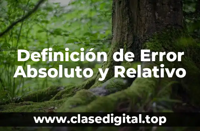 Definición de Error Absoluto y Relativo