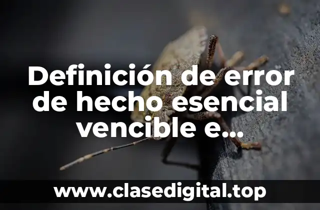Definición de error de hecho esencial vencible e invencible
