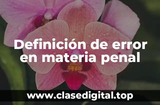 Definición técnica de error en materia penal