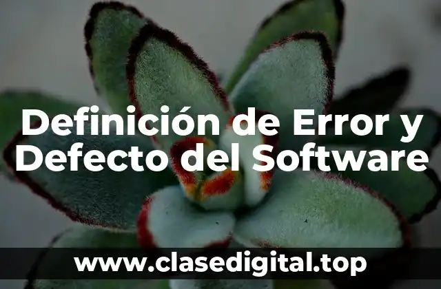 Definición de Error y Defecto del Software