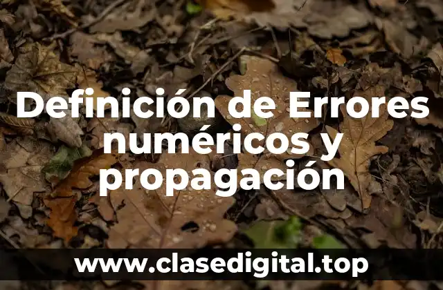 Definición de Errores numéricos y propagación