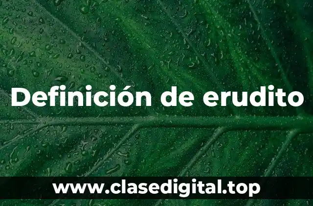 Definición técnica de erudito