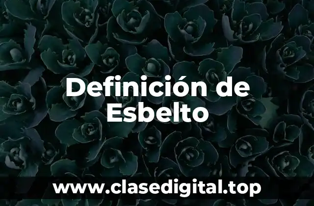 Definición de Esbelto
