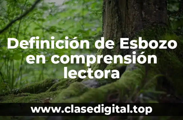 Definición de Esbozo en comprensión lectora