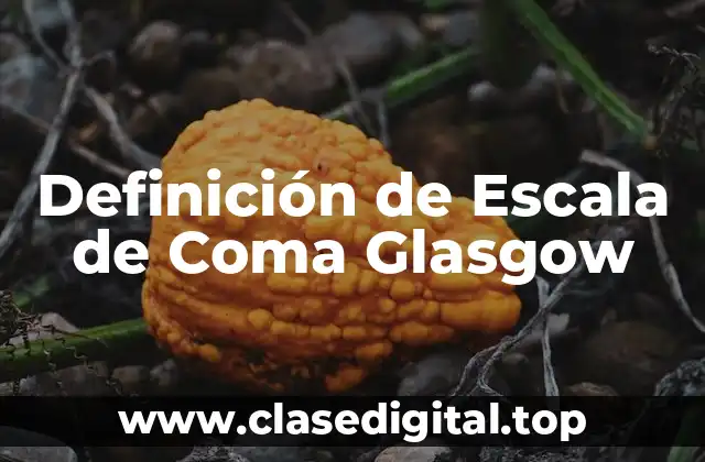 Definición de Escala de Coma Glasgow