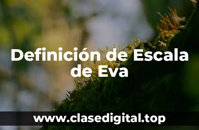 Definición de Escala de Eva
