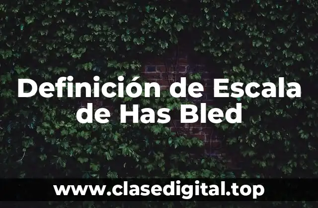 Definición de Escala de Has Bled
