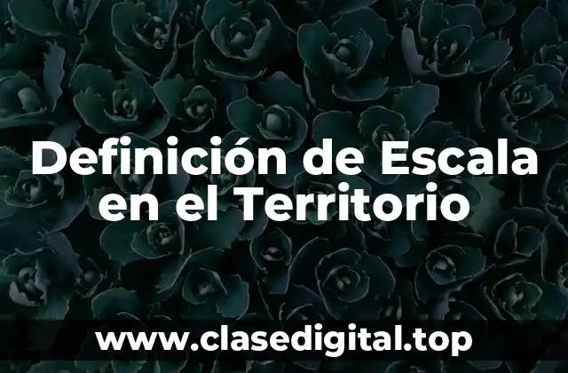 Definición de Escala en el Territorio