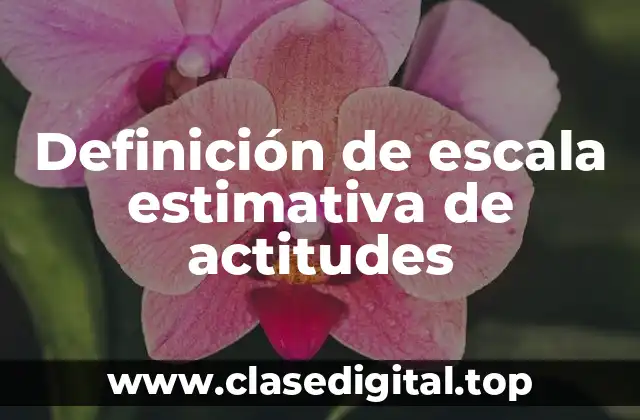 Definición de escala estimativa de actitudes