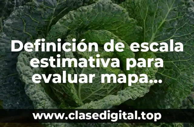 Definición de escala estimativa para evaluar mapa conceptual