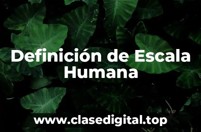 Definición de Escala Humana