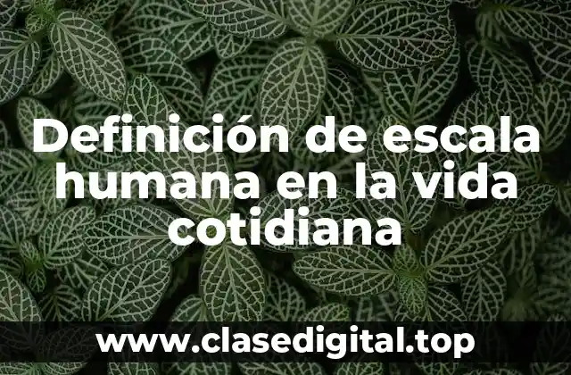 Definición de escala humana en la vida cotidiana