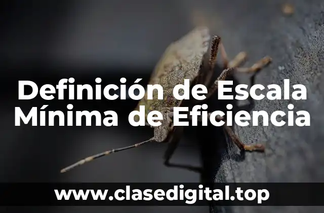 Definición de Escala Mínima de Eficiencia