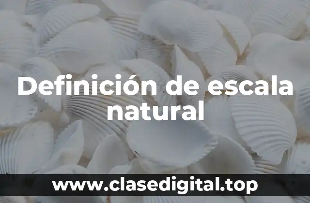Definición de escala natural