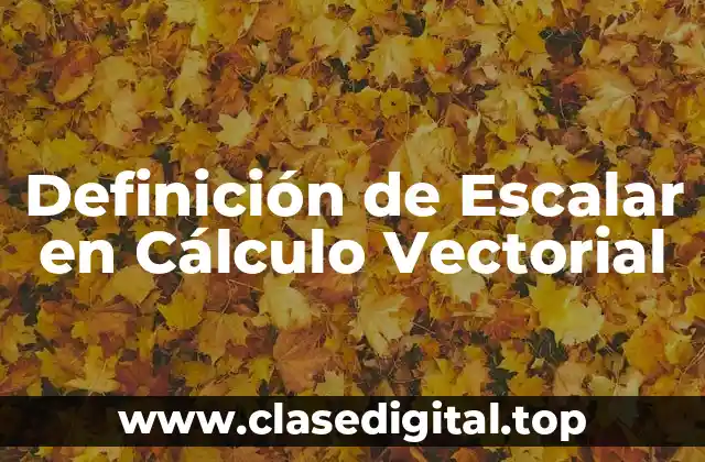Definición de Escalar en Cálculo Vectorial