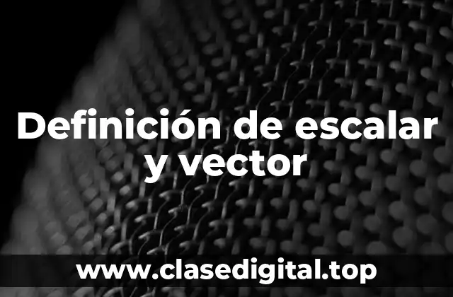 Definición de escalar y vector
