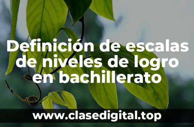 Definición de escalas de niveles de logro en bachillerato