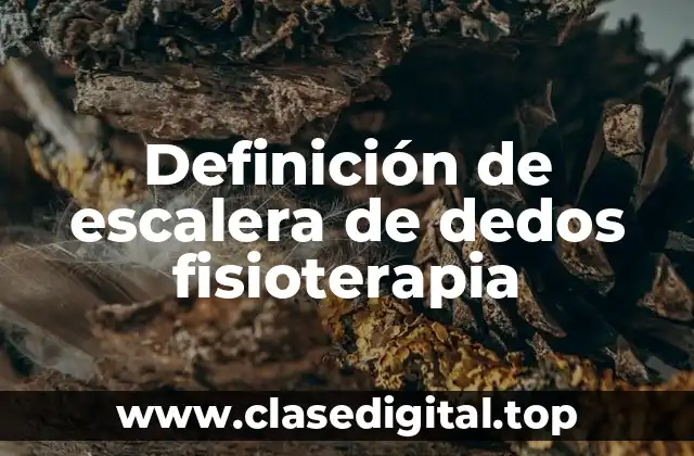 Definición técnica de escalera de dedos fisioterapia