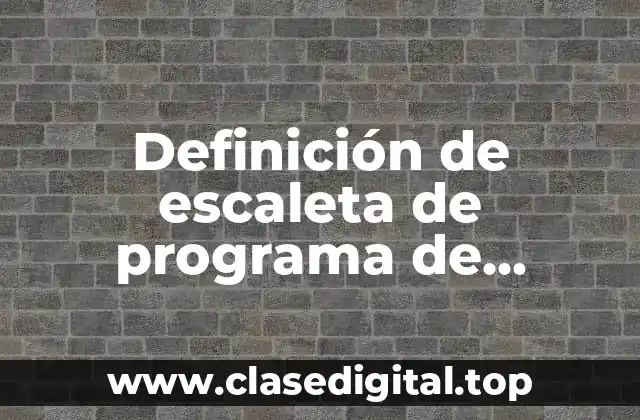 Definición de escaleta de programa de televisión