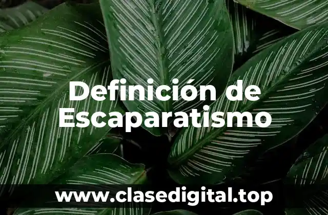 Definición de Escaparatismo