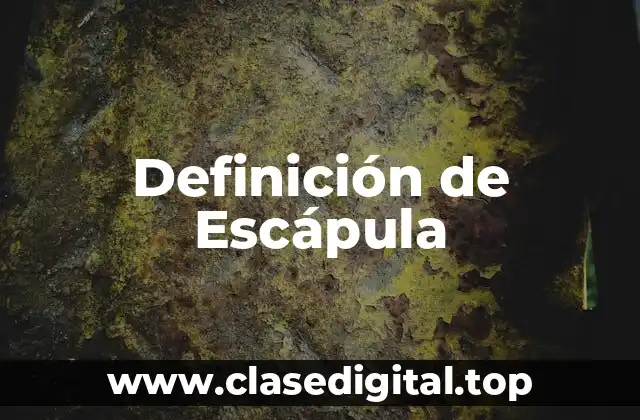 Definición de Escápula