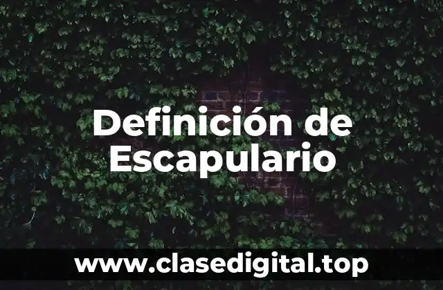 Definición técnica de Escapulario