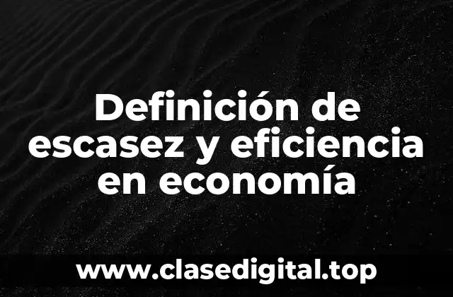 Definición de escasez y eficiencia en economía