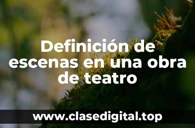 Definición de escenas en una obra de teatro