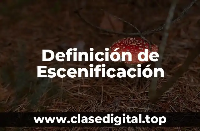 Ejemplos de Escenificación