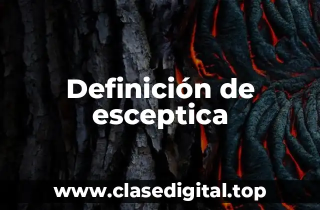 Definición de esceptica