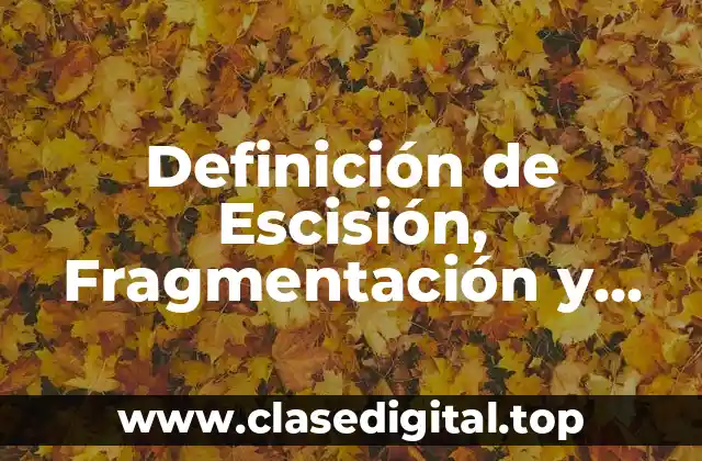 Definición de Escisión, Fragmentación y Ejemplos