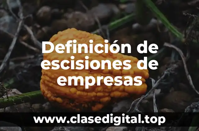 Ejemplos de escisiones de empresas