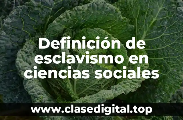 Definición de esclavismo en ciencias sociales