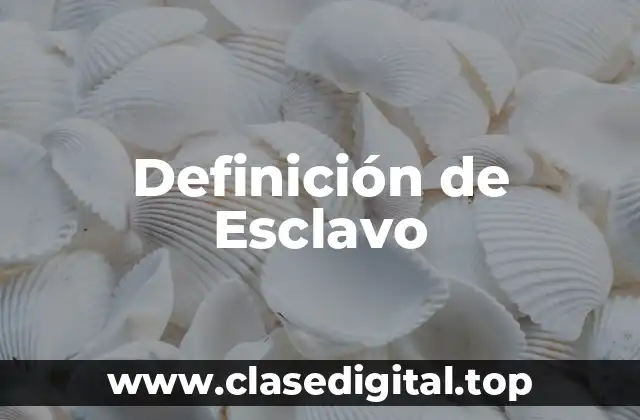 Definición de Esclavo