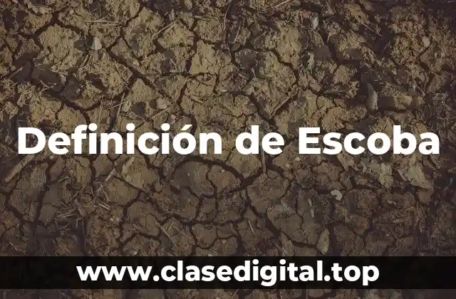 Definición de Escoba