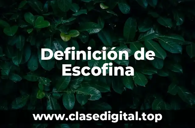 Definición de Escofina