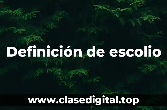 Definición de escolio