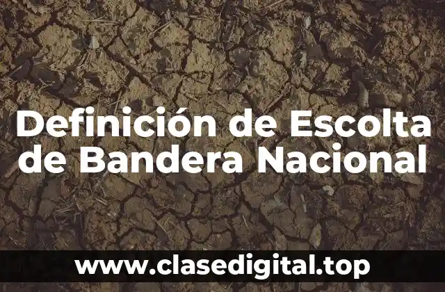 Definición de Escolta de Bandera Nacional