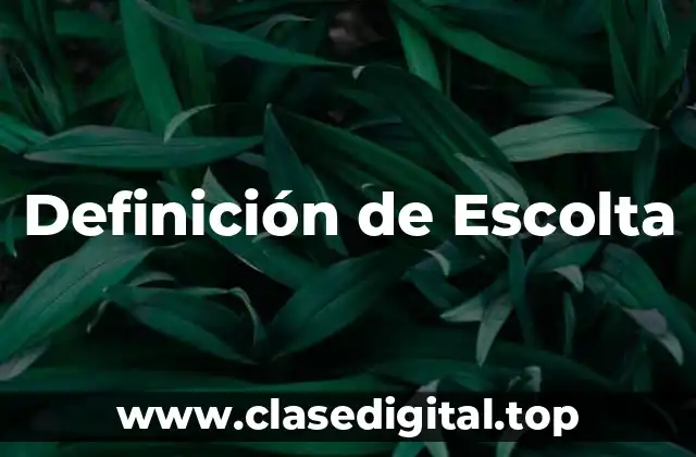 Definición de Escolta