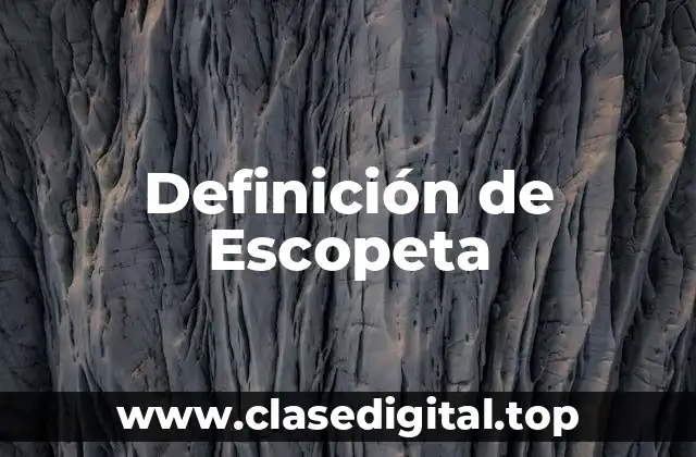 Definición de Escopeta