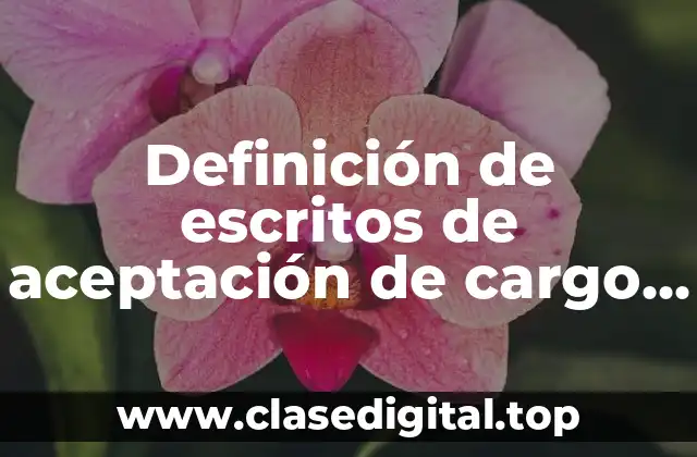 Definición de escritos de aceptación de cargo de perito