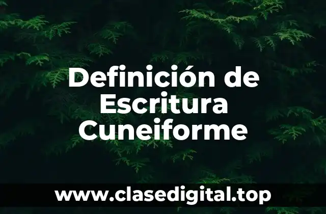 Definición de Escritura Cuneiforme