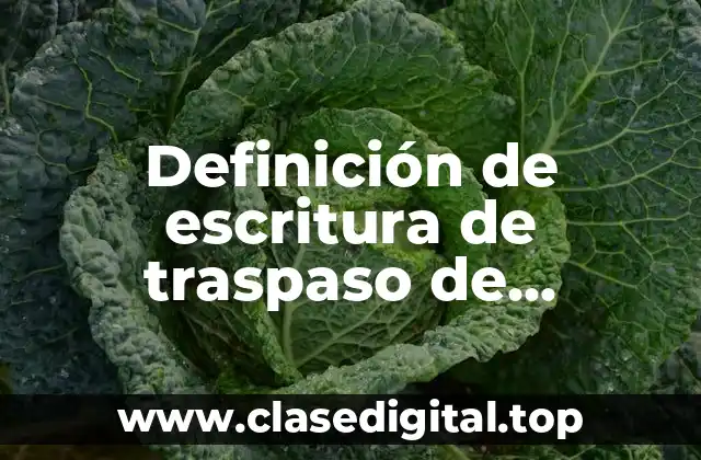 Definición de escritura de traspaso de propiedad