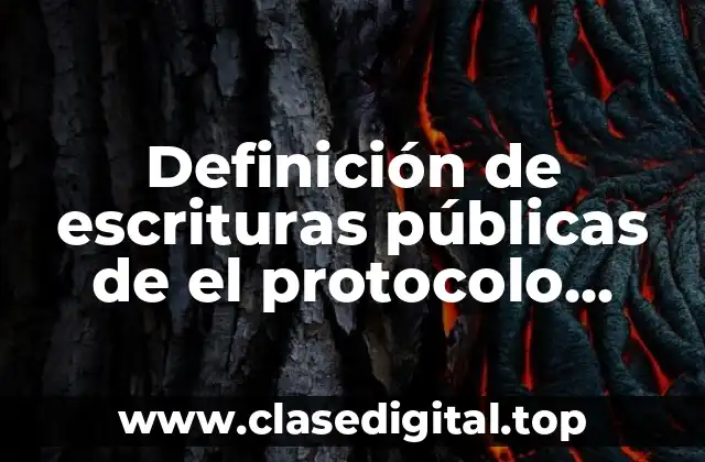 Definición de escrituras públicas de el protocolo especial federal