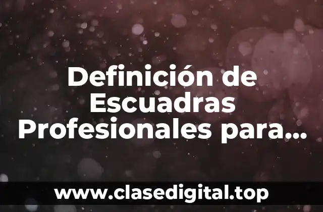 Definición de Escuadras Profesionales para Dibujo