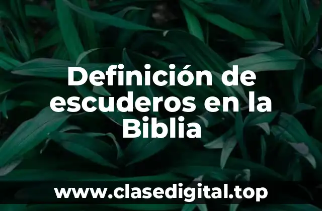 Ejemplos de escuderos en la Biblia