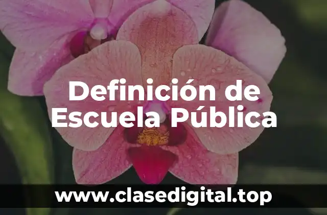 Definición de Escuela Pública