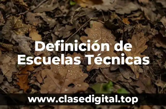 Definición de Escuelas Técnicas