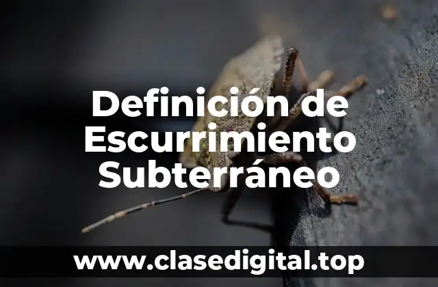 Definición de Escurrimiento Subterráneo