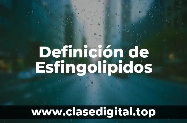 Definición técnica de esfingolipidos